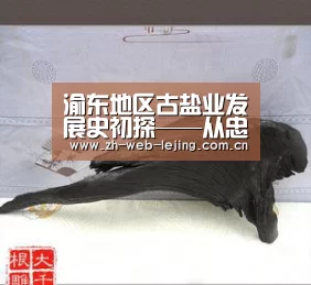 乐竟体育官网