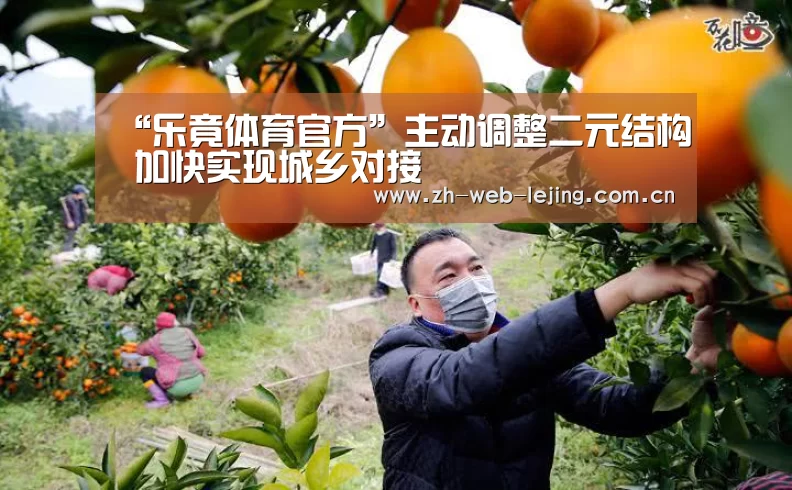 “乐竟体育官方”主动调整二元结构 加快实现城乡对接(图3) 乐竟体育平台官网