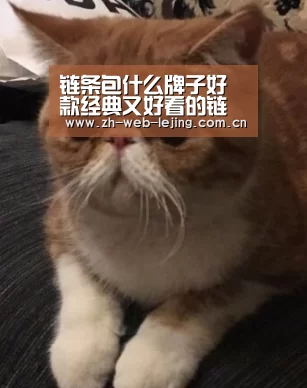 乐竟体育平台官网
